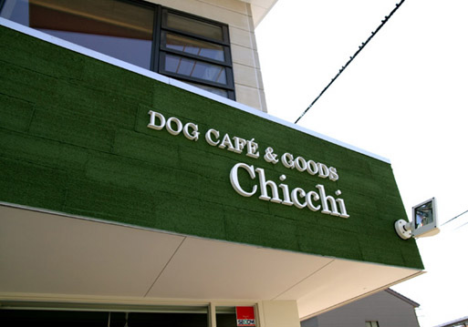chicchi05