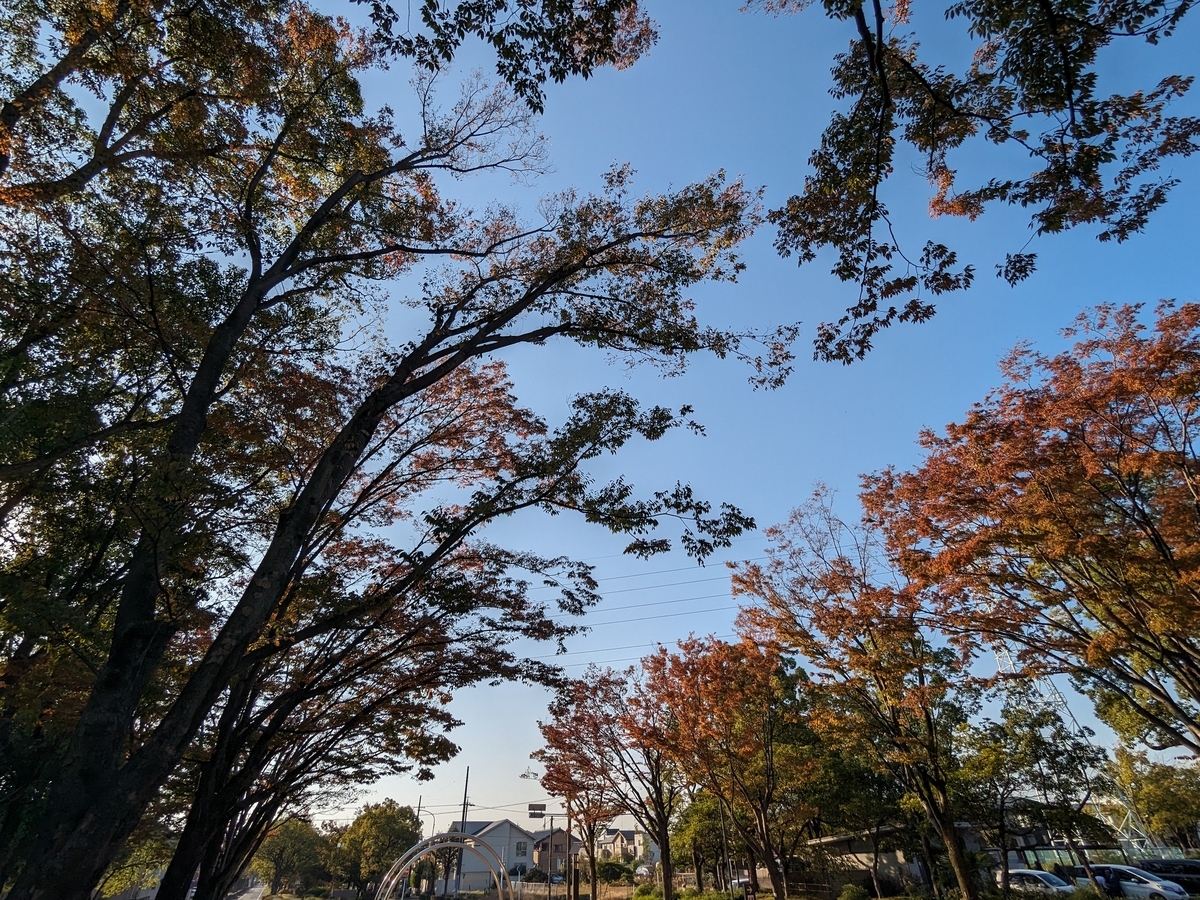 午後の朝宮公園