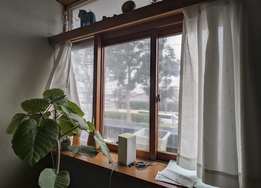 のんびりと観葉植物について