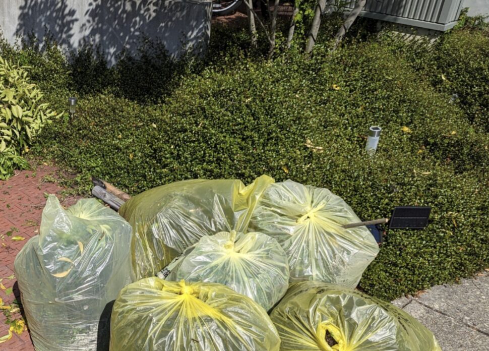 物件管理　草多すぎて草