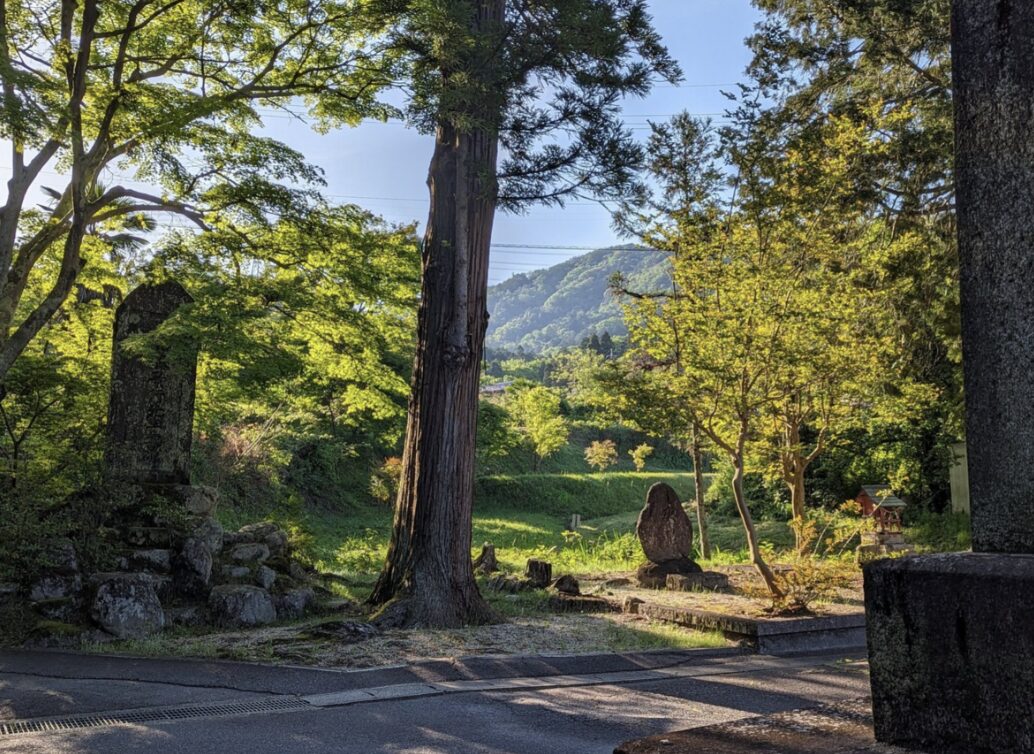 久しぶりのロングライド80km