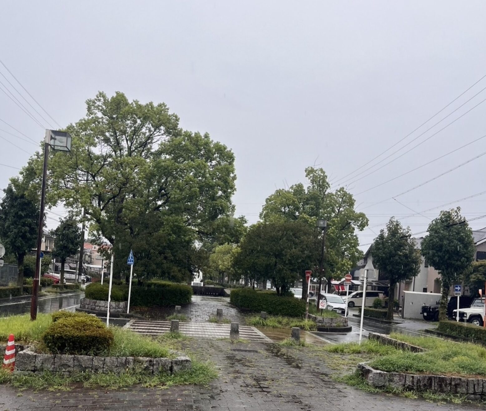 朝宮あかりナイトのためのケローナ通り視察