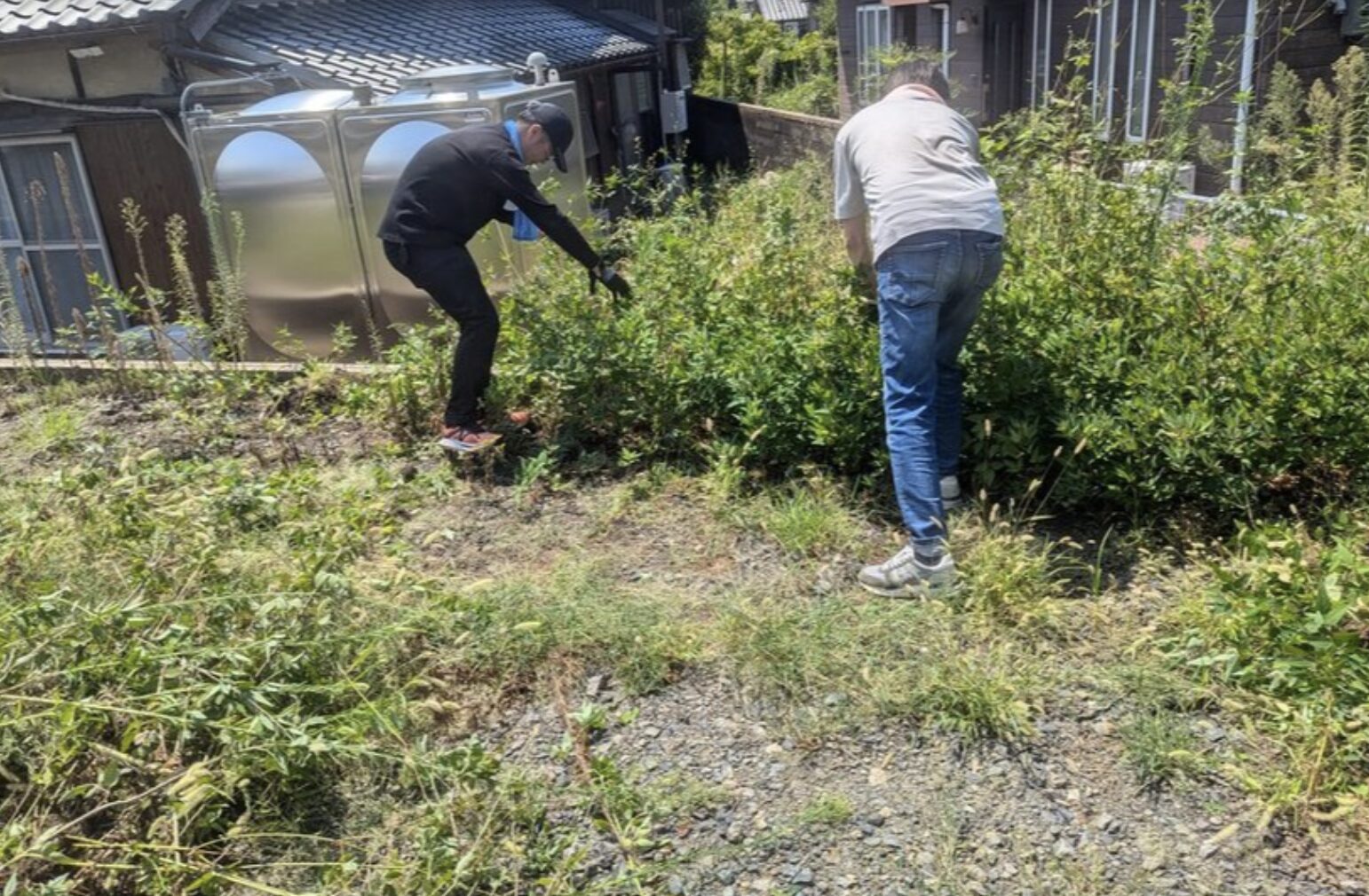酷暑の中、地縄張りへ