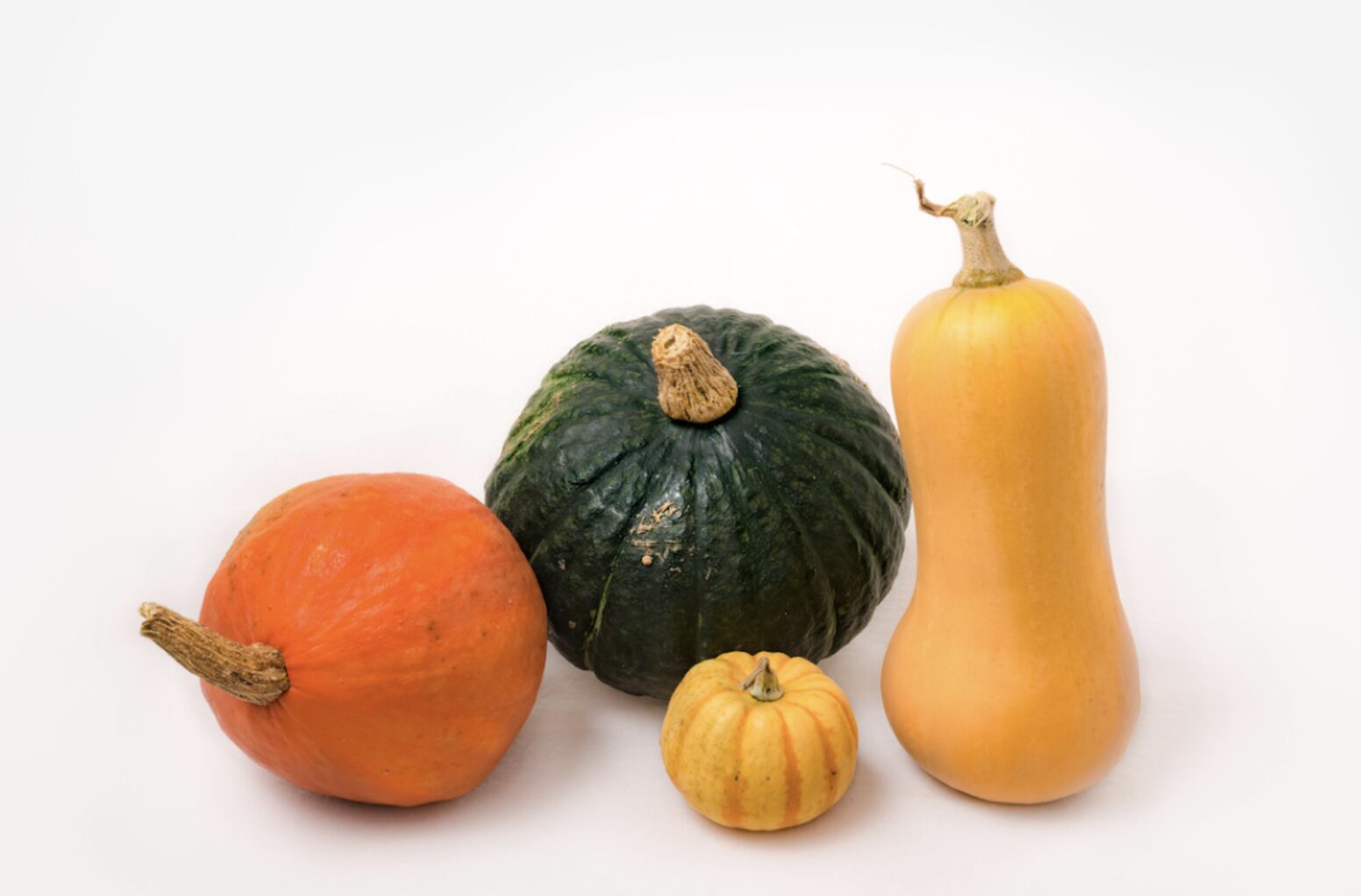 不動産とかぼちゃの世界